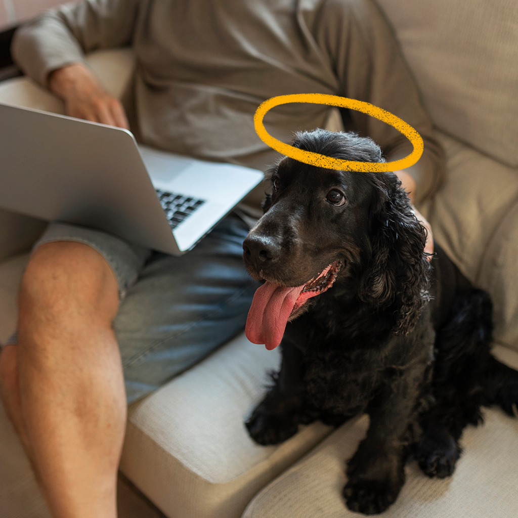 Inimene istub diivanil sülearvutiga süles, kõrval must koer keel suust väljas, koera pea kohal oranž sära